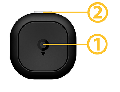 Primary and secondaty button